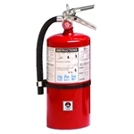 10 lb ABC Fire Extinguisher