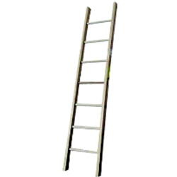 Aluminum Single Ladder 10'